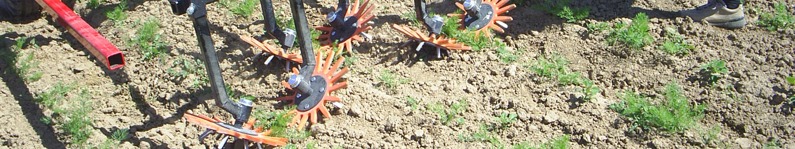 Maschinelle Harke für Gemüsepflanzen © Dienstleistungszentren Ländlicher Raum